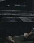 Filename=The_School_mp43623.jpg
Filesize=560KiB
Dimensions=1920x800
Date added=Oct 07, 2021 The_School_mp43623.jpg