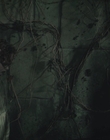 Filename=The_School_mp44136.jpg
Filesize=572KiB
Dimensions=1920x800
Date added=Oct 07, 2021 The_School_mp44136.jpg