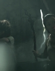 Filename=The_School_mp44787.jpg
Filesize=400KiB
Dimensions=1920x800
Date added=Oct 07, 2021 The_School_mp44787.jpg