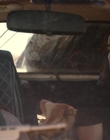 Filename=Upright_S01E02_mkv1996.jpg
Filesize=900KiB
Dimensions=1920x1080
Date added=Oct 08, 2021 Upright_S01E02_mkv1996.jpg