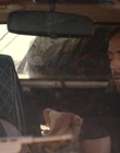 Filename=Upright_S01E02_mkv1997.jpg
Filesize=786KiB
Dimensions=1920x1080
Date added=Oct 08, 2021 Upright_S01E02_mkv1997.jpg