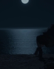 Filename=Upright_S01E04_mkv1179.jpg
Filesize=338KiB
Dimensions=1920x1080
Date added=Oct 08, 2021 Upright_S01E04_mkv1179.jpg
