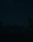 Filename=Upright_S01E04_mkv1253.jpg
Filesize=229KiB
Dimensions=1920x1080
Date added=Oct 08, 2021 Upright_S01E04_mkv1253.jpg