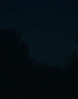 Filename=Upright_S01E04_mkv1258.jpg
Filesize=231KiB
Dimensions=1920x1080
Date added=Oct 08, 2021 Upright_S01E04_mkv1258.jpg