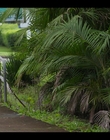 Upright_S02E03_mkv3890.jpg