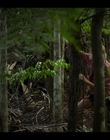 Filename=Upright_S02E04_mkv5430.jpg
Filesize=989KiB
Dimensions=1920x1080
Date added=Nov 29, 2022 Upright_S02E04_mkv5430.jpg