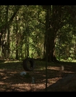Filename=Upright_S02E05_mkv5993.jpg
Filesize=1175KiB
Dimensions=1920x1080
Date added=Nov 29, 2022 Upright_S02E05_mkv5993.jpg