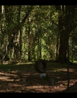Filename=Upright_S02E05_mkv5997.jpg
Filesize=1260KiB
Dimensions=1920x1080
Date added=Nov 29, 2022 Upright_S02E05_mkv5997.jpg