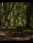Filename=Upright_S02E05_mkv5998.jpg
Filesize=1288KiB
Dimensions=1920x1080
Date added=Nov 29, 2022 Upright_S02E05_mkv5998.jpg
