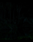 Filename=Upright_S02E05_mkv7300.jpg
Filesize=497KiB
Dimensions=1920x1080
Date added=Nov 29, 2022 Upright_S02E05_mkv7300.jpg