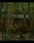 Filename=Upright_S02E06_mkv1186.jpg
Filesize=815KiB
Dimensions=1920x1080
Date added=Nov 29, 2022 Upright_S02E06_mkv1186.jpg