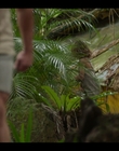 Filename=Upright_S02E06_mkv1198.jpg
Filesize=914KiB
Dimensions=1920x1080
Date added=Nov 29, 2022 Upright_S02E06_mkv1198.jpg