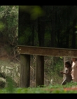 Filename=Upright_S02E06_mkv1204.jpg
Filesize=820KiB
Dimensions=1920x1080
Date added=Nov 29, 2022 Upright_S02E06_mkv1204.jpg