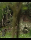 Filename=Upright_S02E06_mkv1206.jpg
Filesize=811KiB
Dimensions=1920x1080
Date added=Nov 29, 2022 Upright_S02E06_mkv1206.jpg