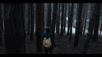 The_Gloaming_S01E05_mkv5656.jpg