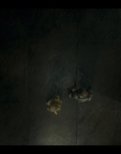 Filename=House_of_the_Dragon_S01E01_mkv0570.jpg
Filesize=602KiB
Dimensions=1920x1080
Date added=Aug 23, 2022 House_of_the_Dragon_S01E01_mkv0570.jpg