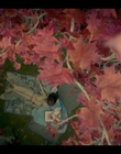 Filename=House_of_the_Dragon_S01E01_mkv0699.jpg
Filesize=862KiB
Dimensions=1920x1080
Date added=Aug 23, 2022 House_of_the_Dragon_S01E01_mkv0699.jpg