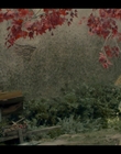 Filename=House_of_the_Dragon_S01E01_mkv0755.jpg
Filesize=971KiB
Dimensions=1920x1080
Date added=Aug 23, 2022 House_of_the_Dragon_S01E01_mkv0755.jpg