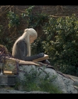 Filename=House_of_the_Dragon_S01E03_mkv0483.jpg
Filesize=1397KiB
Dimensions=1920x1080
Date added=Sep 07, 2022 House_of_the_Dragon_S01E03_mkv0483.jpg
