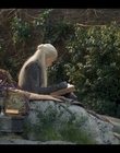 House_of_the_Dragon_S01E03_mkv0484.jpg