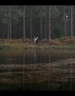 House_of_the_Dragon_S01E03_mkv1121.jpg