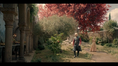 House_of_the_Dragon_S01E04_mkv0861.jpg