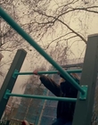 Filename=2023-01-17_-_Noel_Gallaghers_High_Flying_Birds_-_Easy_Now_mp40432.jpg
Filesize=795KiB
Dimensions=1440x1080
Date added=Jan 24, 2023 2023-01-17_-_Noel_Gallaghers_High_Flying_Birds_-_Easy_Now_mp40432.jpg