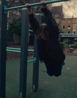 Filename=2023-01-17_-_Noel_Gallaghers_High_Flying_Birds_-_Easy_Now_mp40512.jpg
Filesize=513KiB
Dimensions=1440x1080
Date added=Jan 24, 2023 2023-01-17_-_Noel_Gallaghers_High_Flying_Birds_-_Easy_Now_mp40512.jpg